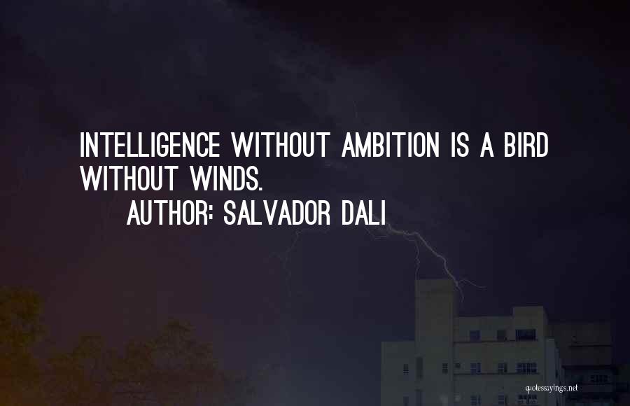 Dali Salvador Quotes By Salvador Dali