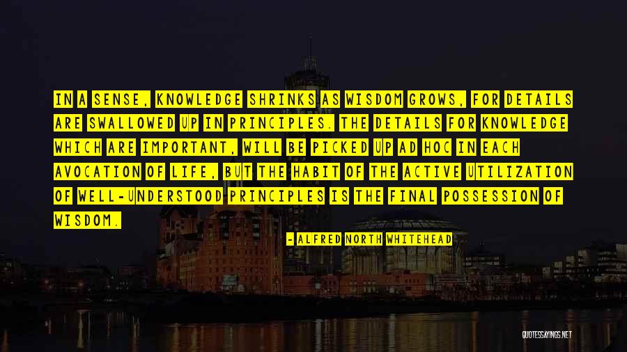 Dalisay Sweets Quotes By Alfred North Whitehead Dalisay Sweets Quotes By Alfred North Whitehead