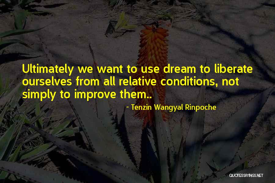 Dalisay Sweets Quotes By Tenzin Wangyal Rinpoche Dalisay Sweets Quotes By Tenzin Wangyal Rinpoche