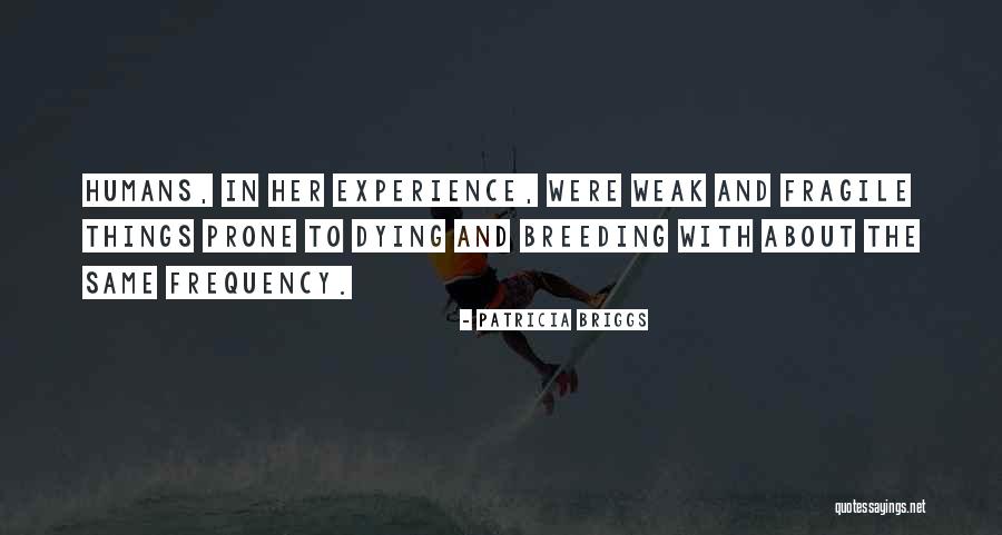 Dalishas Quotes By Patricia Briggs Dalishas Quotes By Patricia Briggs