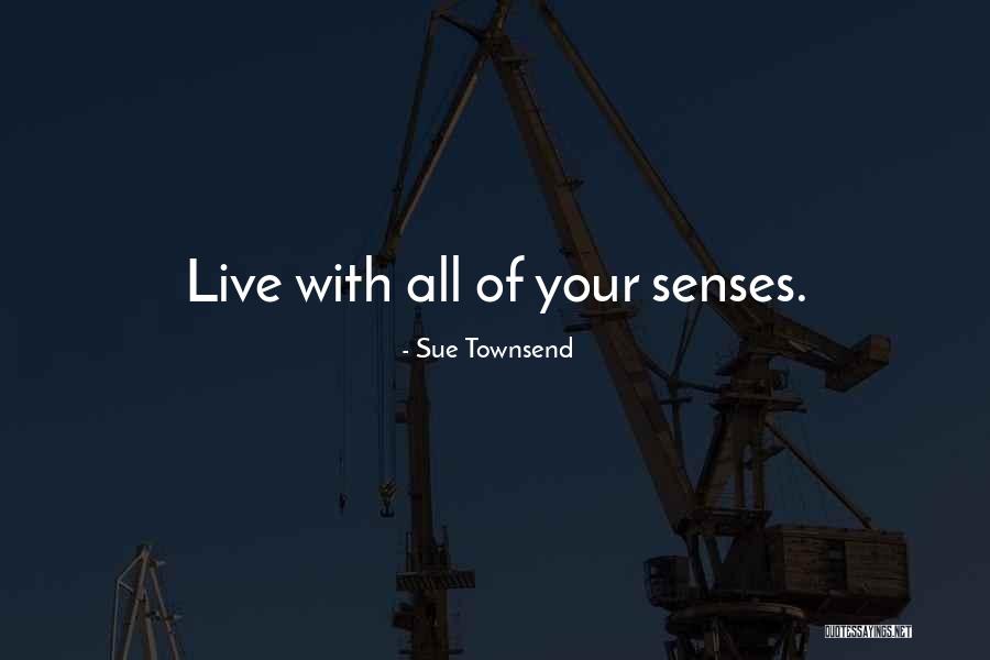 Dallard Quotes By Sue Townsend Dallard Quotes By Sue Townsend