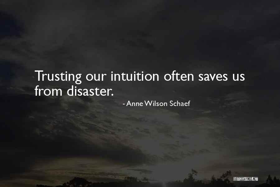 Dallas Cowboys Winning Quotes By Anne Wilson Schaef Dallas Cowboys Winning Quotes By Anne Wilson Schaef
