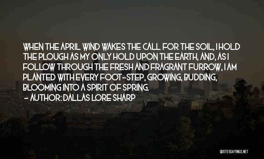 Dallas Lore Sharp Quotes 1068610