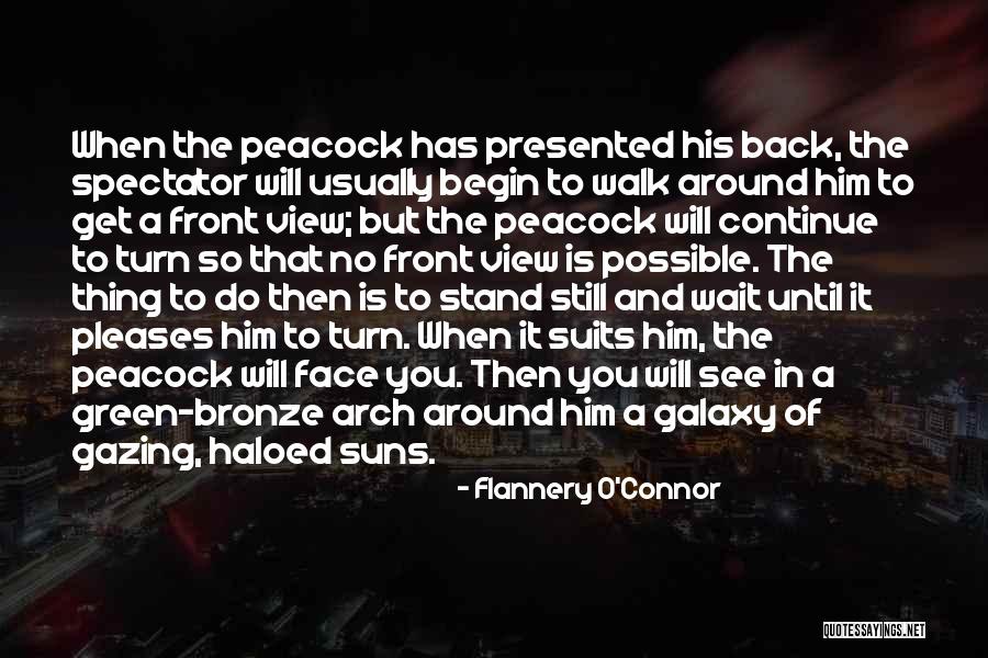 Dallek Coaching Quotes By Flannery O'Connor Dallek Coaching Quotes By Flannery O'Connor