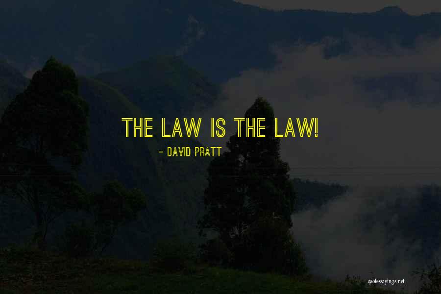 Dallesandro Saffron Quotes By David Pratt Dallesandro Saffron Quotes By David Pratt
