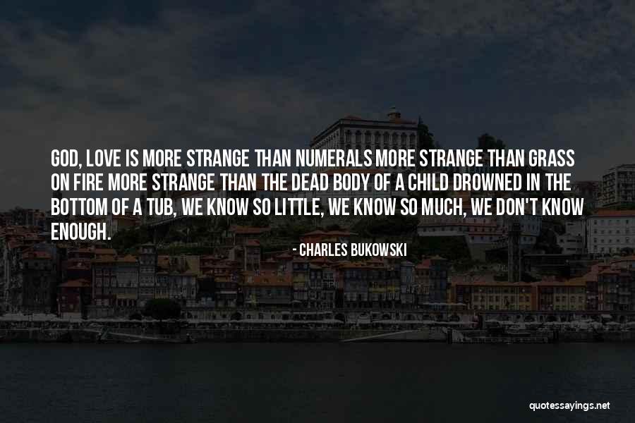 Dallmer Roof Quotes By Charles Bukowski Dallmer Roof Quotes By Charles Bukowski