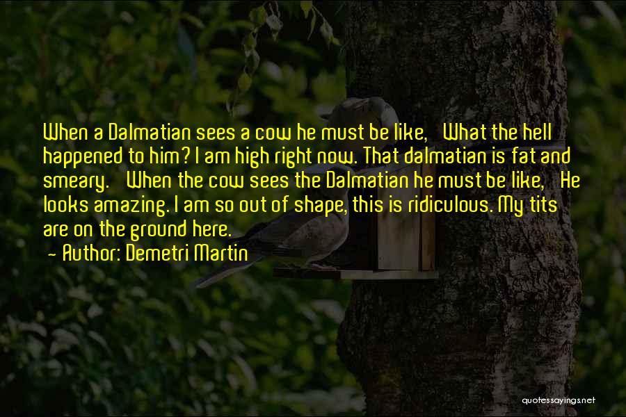 Dalmatians Quotes By Demetri Martin