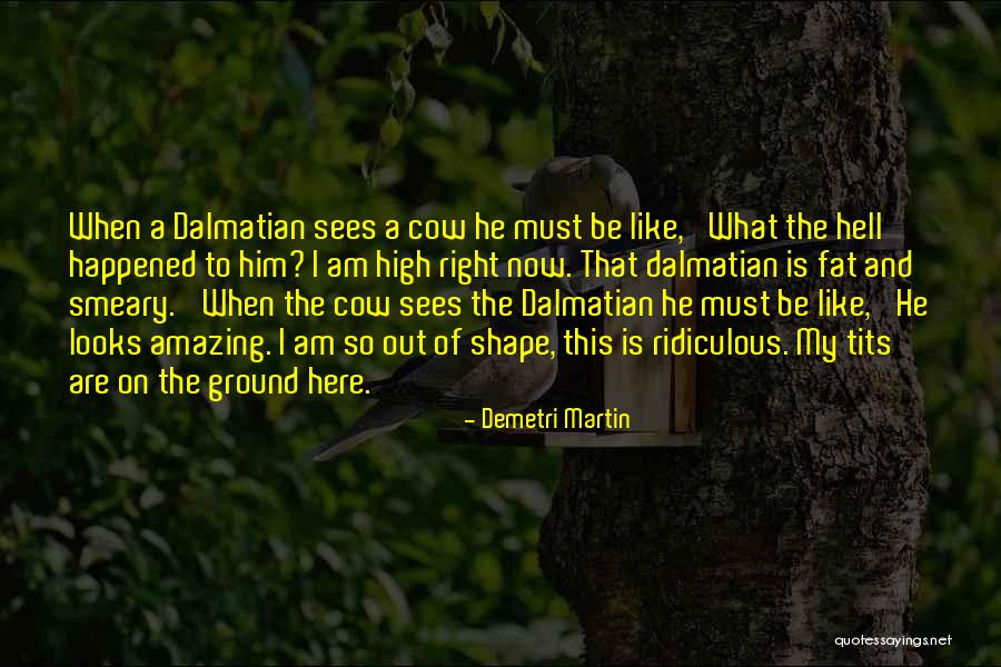 Dalmatians Quotes By Demetri Martin