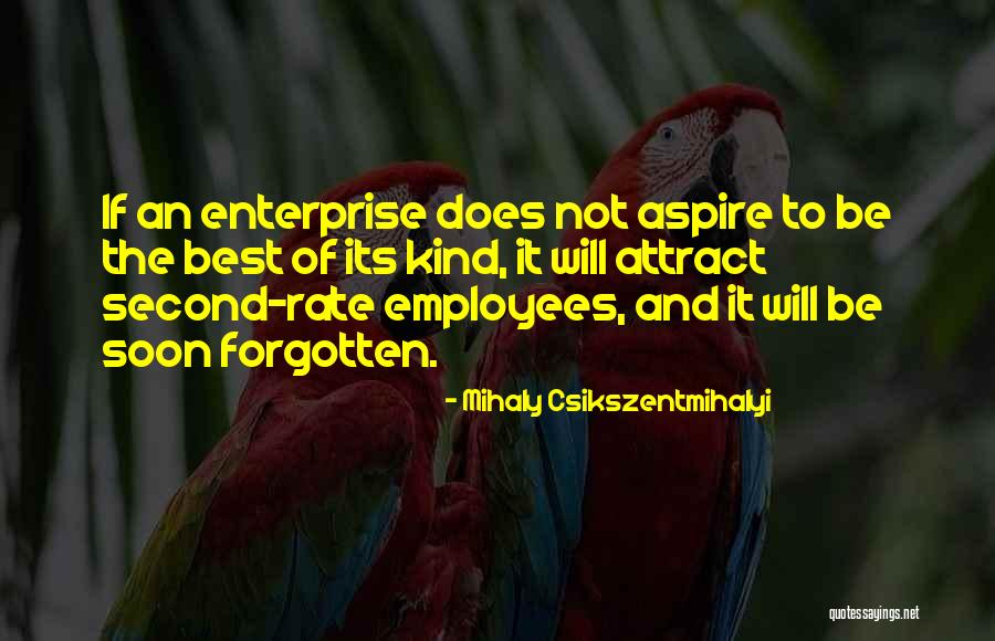 Daltrey Tyree Quotes By Mihaly Csikszentmihalyi Daltrey Tyree Quotes By Mihaly Csikszentmihalyi