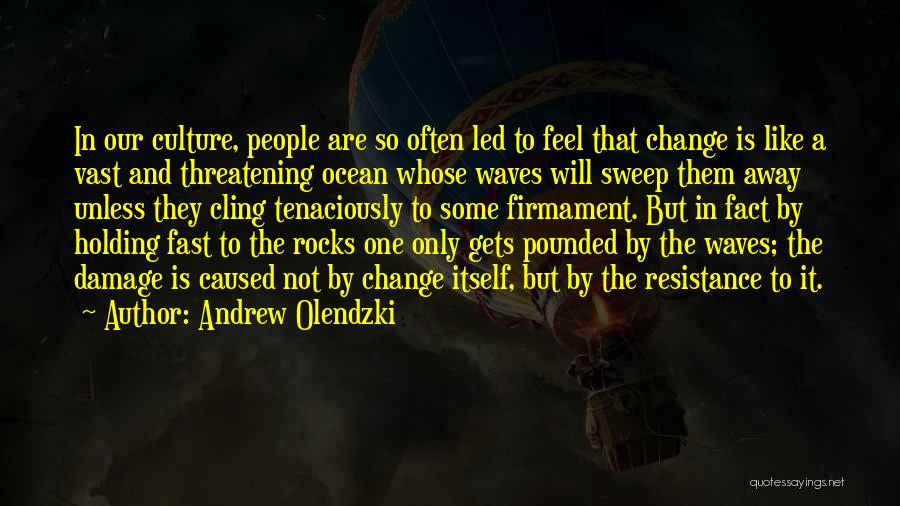 Damage Caused Quotes By Andrew Olendzki
