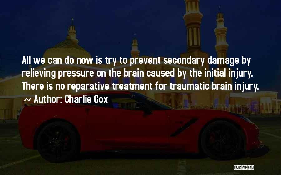 Damage Caused Quotes By Charlie Cox