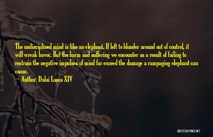 Damage Control Quotes By Dalai Lama XIV
