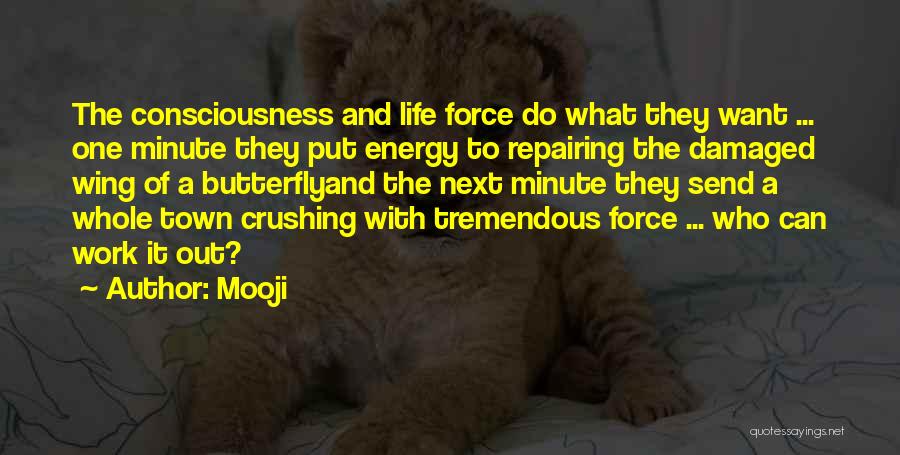 Damaged Life Quotes By Mooji