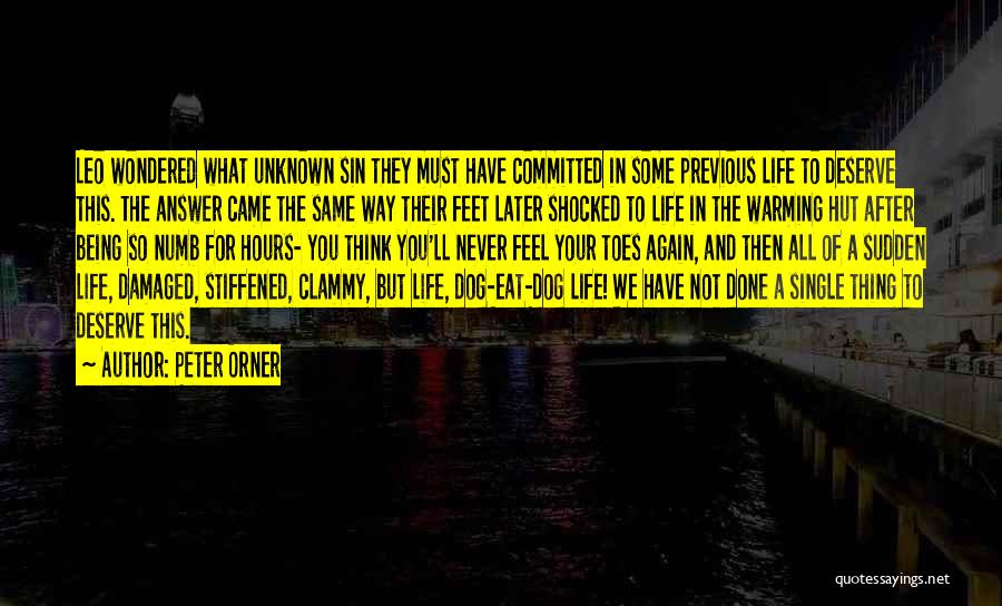 Damaged Life Quotes By Peter Orner