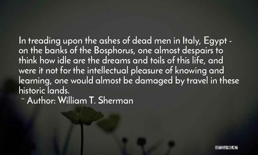 Damaged Life Quotes By William T. Sherman