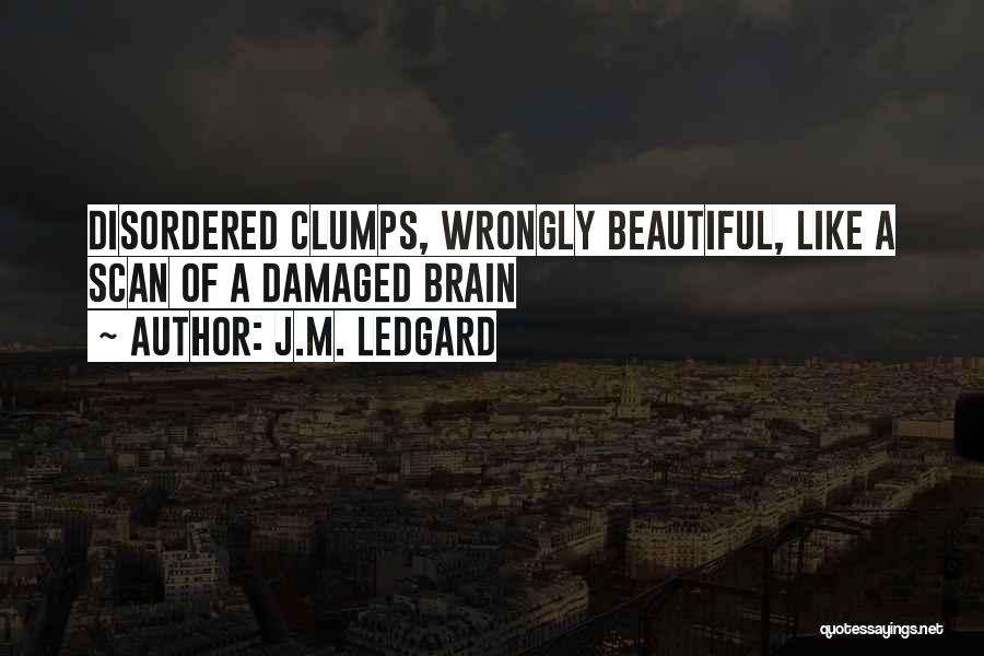 Damaged Quotes By J.M. Ledgard