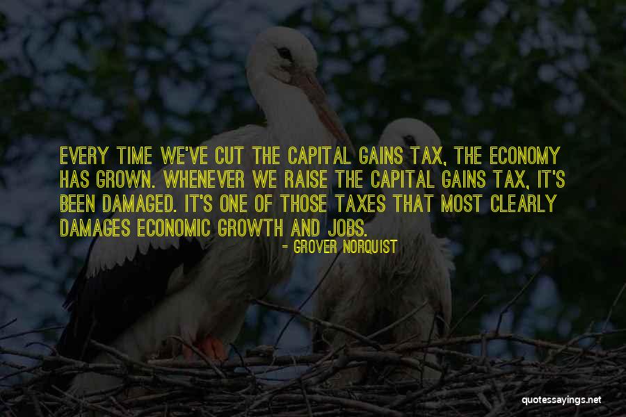 Damages Quotes By Grover Norquist