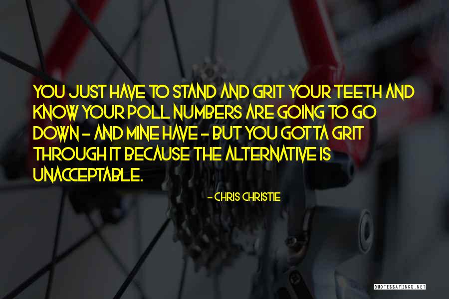 Damarea Quotes By Chris Christie Damarea Quotes By Chris Christie