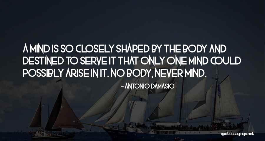Damasio Antonio Quotes By Antonio Damasio Damasio Antonio Quotes By Antonio Damasio