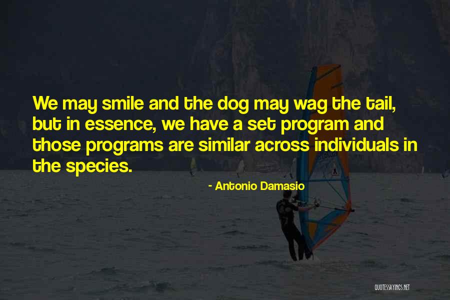 Damasio Antonio Quotes By Antonio Damasio Damasio Antonio Quotes By Antonio Damasio