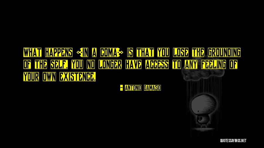 Damasio Antonio Quotes By Antonio Damasio Damasio Antonio Quotes By Antonio Damasio