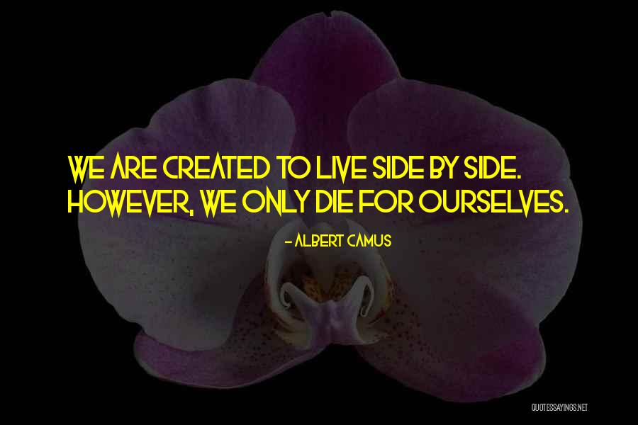 Damato Apartments Quotes By Albert Camus Damato Apartments Quotes By Albert Camus