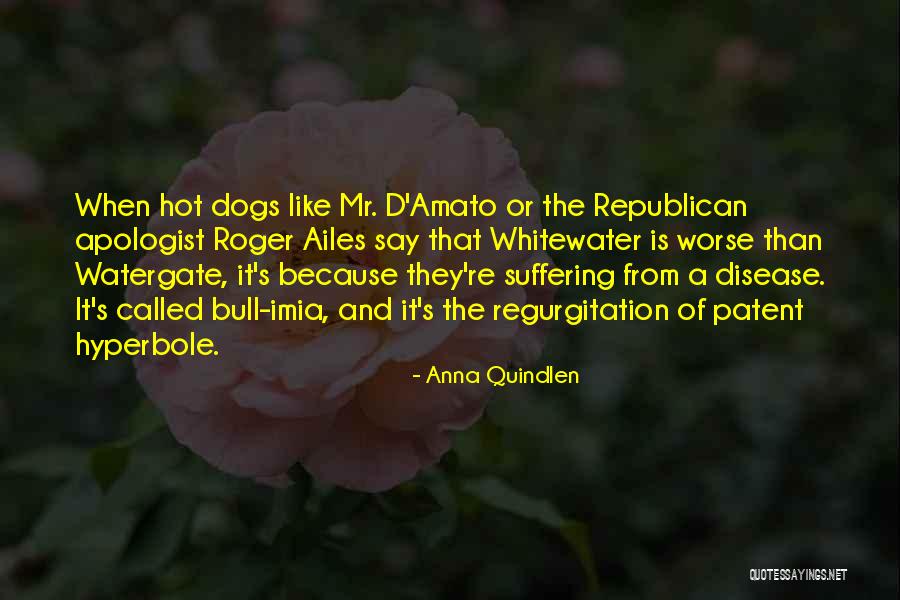 D'amato Quotes By Anna Quindlen D'amato Quotes By Anna Quindlen