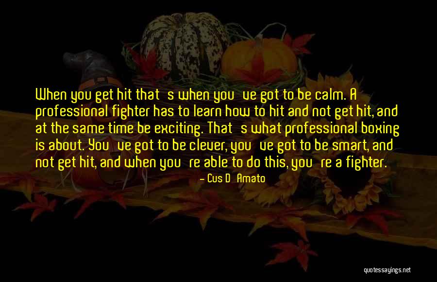 D'amato Quotes By Cus D'Amato D'amato Quotes By Cus D'Amato