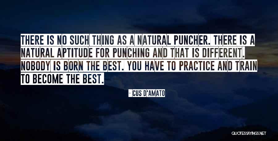 D'amato Quotes By Cus D'Amato D'amato Quotes By Cus D'Amato