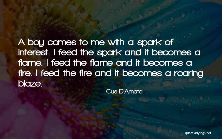 D'amato Quotes By Cus D'Amato D'amato Quotes By Cus D'Amato