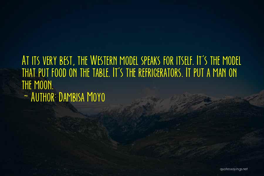 Dambisa Moyo Quotes 1516319