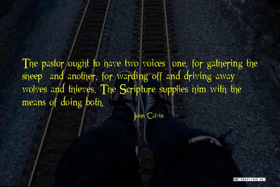 Dambra Meat Quotes By John Calvin Dambra Meat Quotes By John Calvin