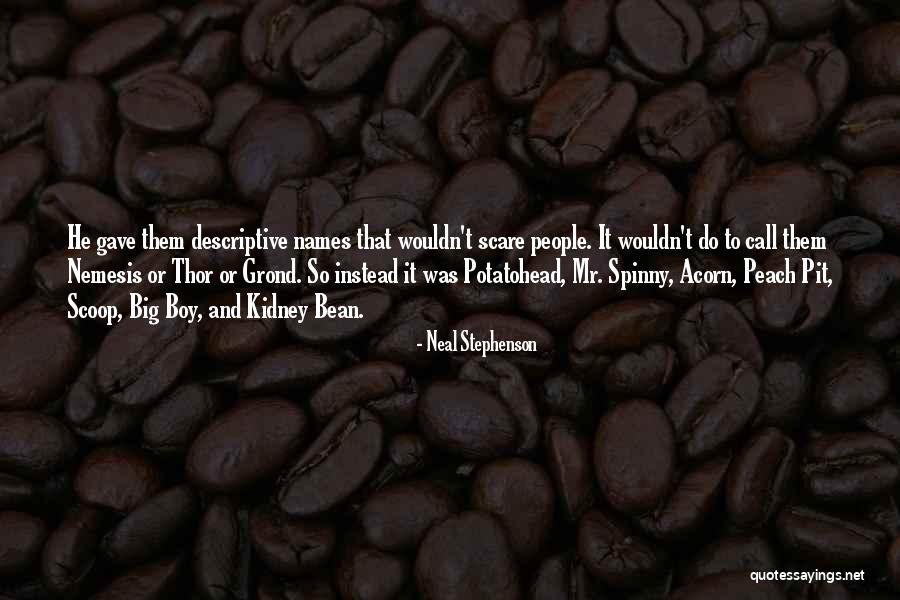Damean Williams Quotes By Neal Stephenson Damean Williams Quotes By Neal Stephenson