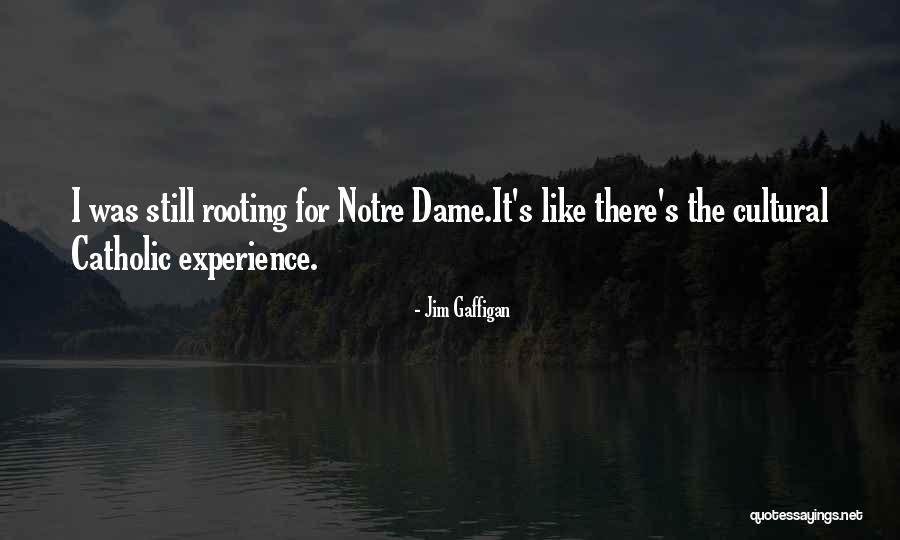 Dames Quotes By Jim Gaffigan Dames Quotes By Jim Gaffigan