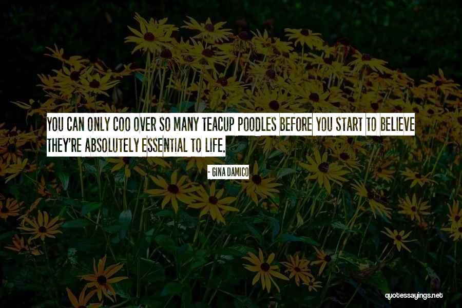 Damico Quotes By Gina Damico Damico Quotes By Gina Damico