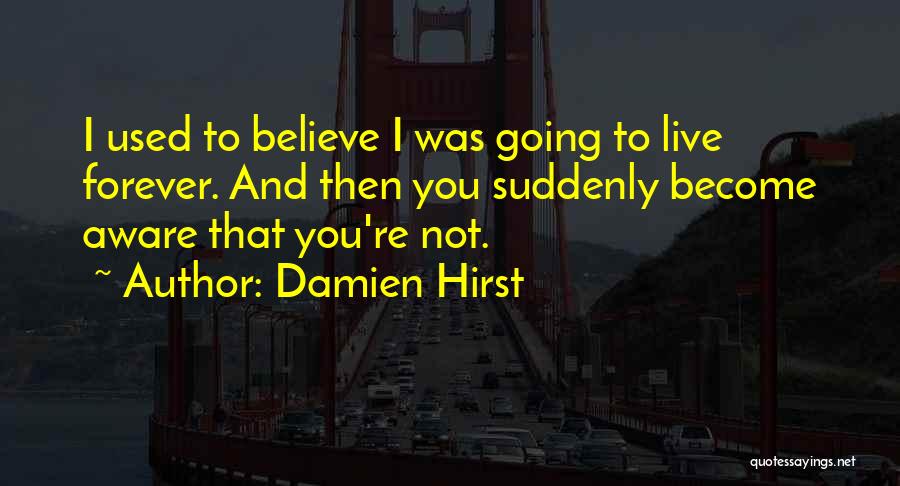 Damien Hirst Quotes 1564999