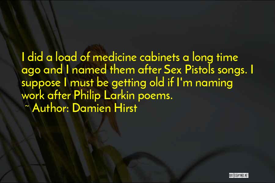 Damien Hirst Quotes 204447