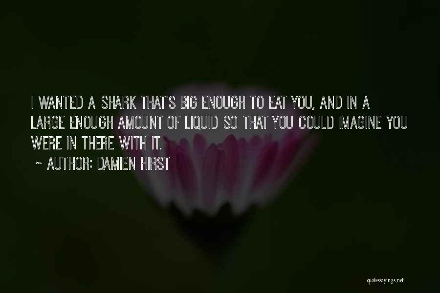 Damien Hirst Quotes 2118882