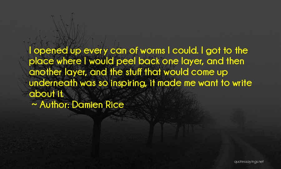 Damien Rice Quotes 1371201