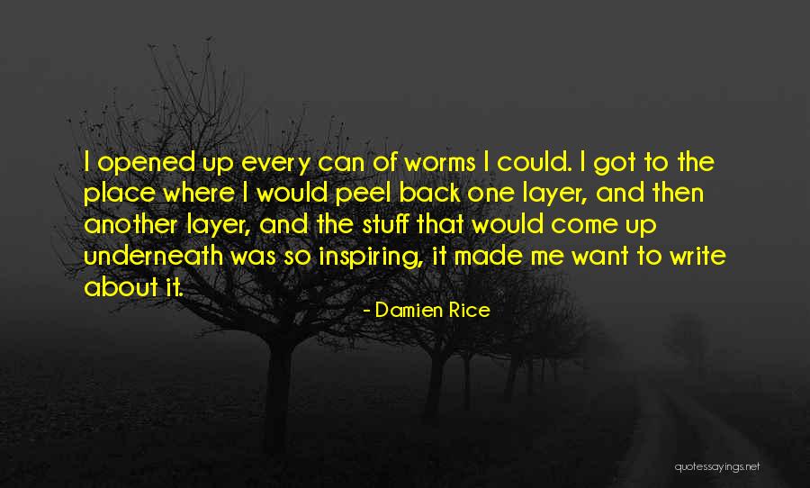 Damien Rice Quotes 1371201