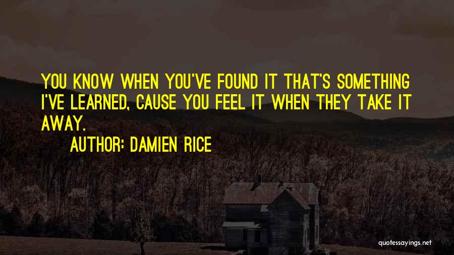Damien Rice Quotes 1470585