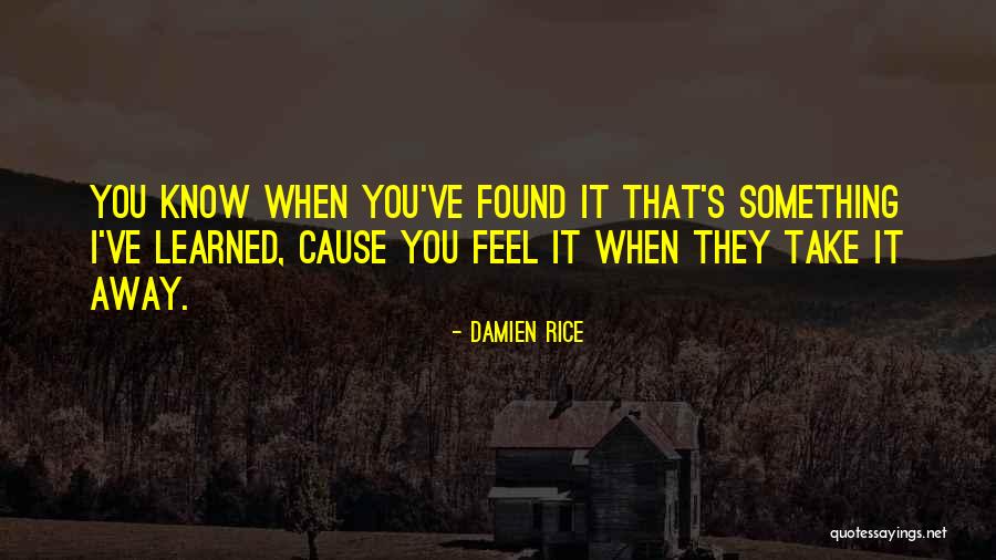 Damien Rice Quotes 1470585