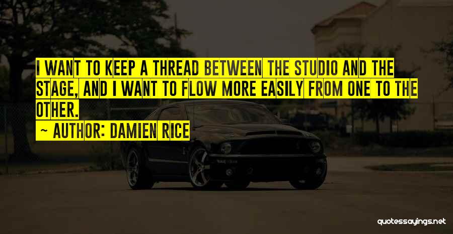 Damien Rice Quotes 1627365