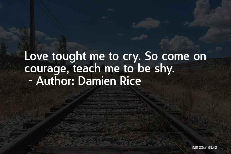 Damien Rice Quotes 1800064