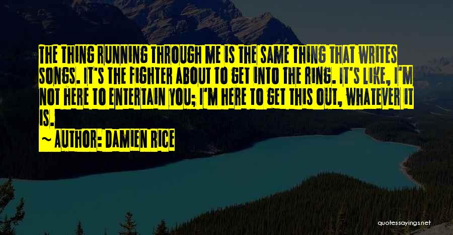 Damien Rice Quotes 297779