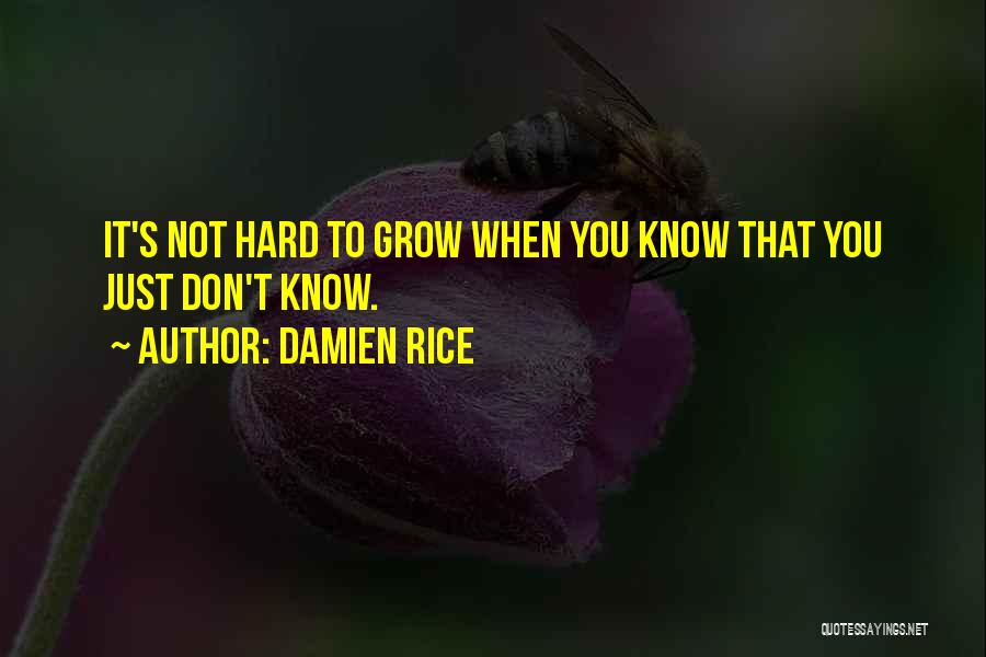 Damien Rice Quotes 580101