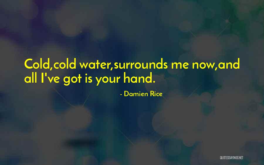 Damien Rice Quotes 792627