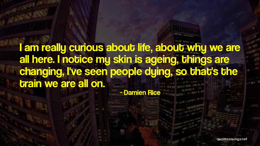 Damien Rice Quotes 792945