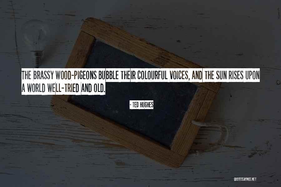 Damion Heersink Quotes By Ted Hughes Damion Heersink Quotes By Ted Hughes