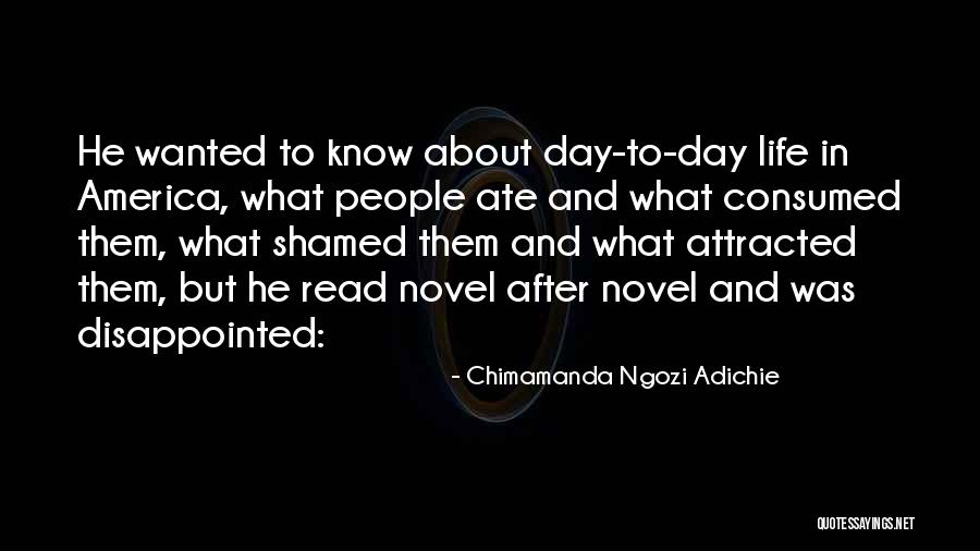 Damion Lee Quotes By Chimamanda Ngozi Adichie